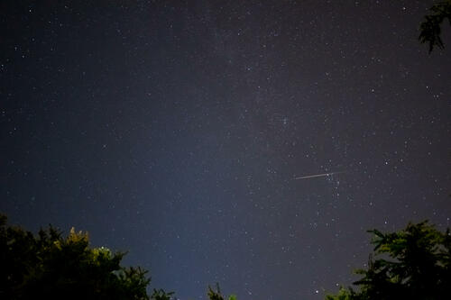 Perseid (26)